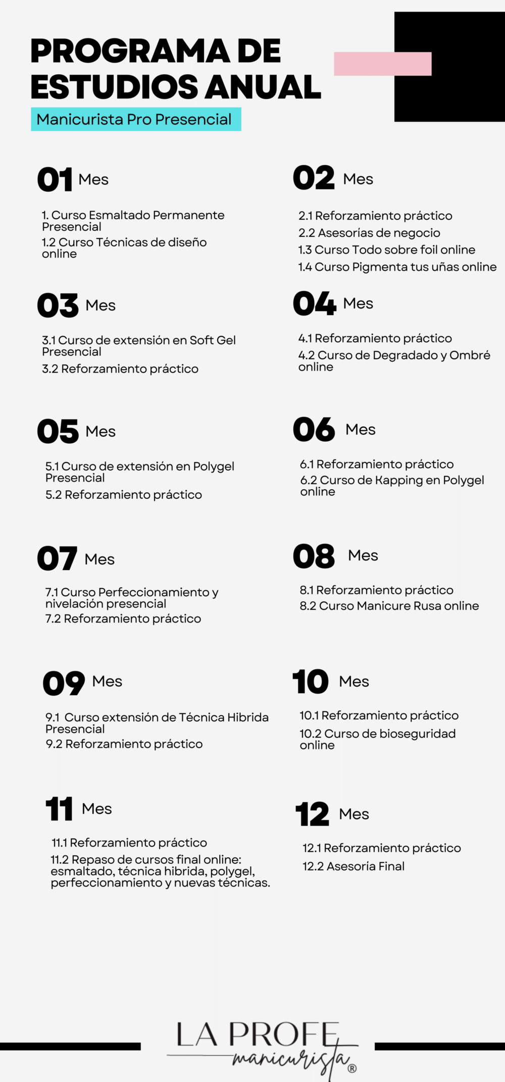 01 Plan anual Manicurista PRO Presencial - Imagen 3