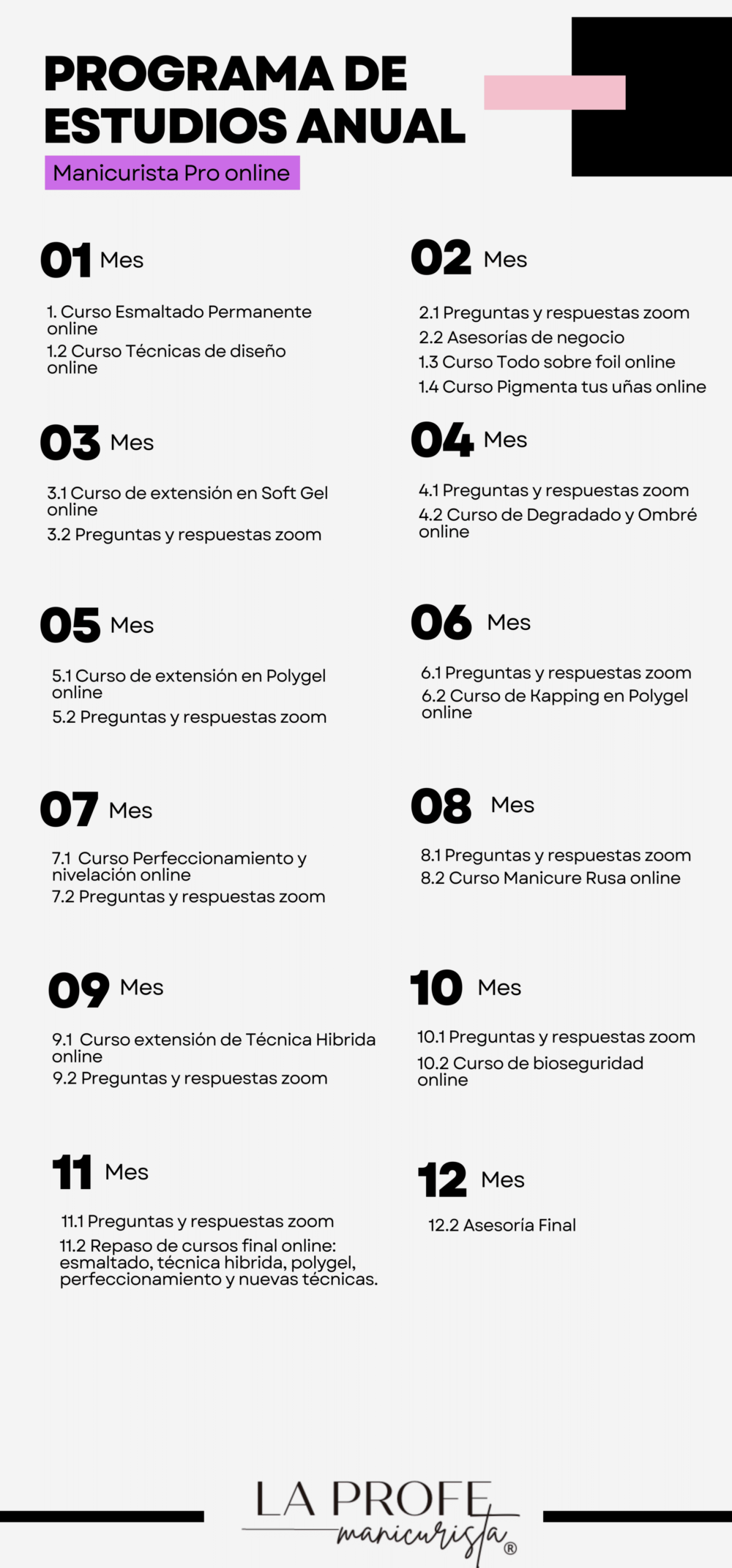 02 Plan anual Manicurista Pro online - Imagen 2
